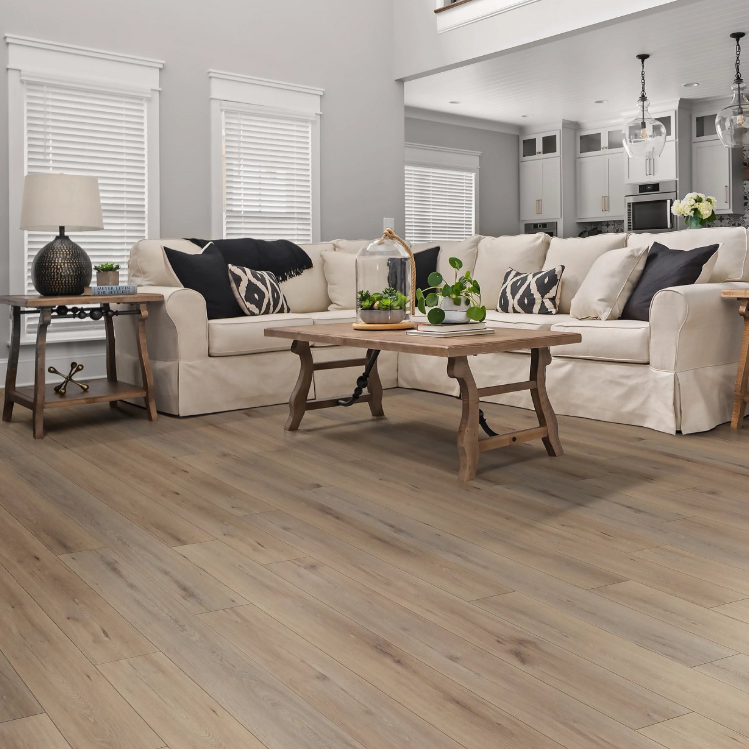 Wild Dunes Room Scene